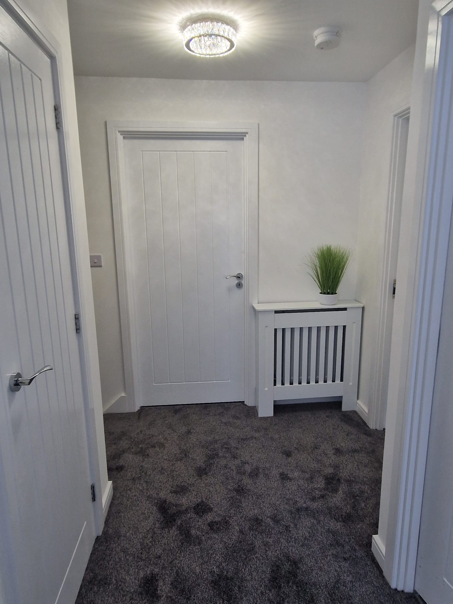 gallery_image