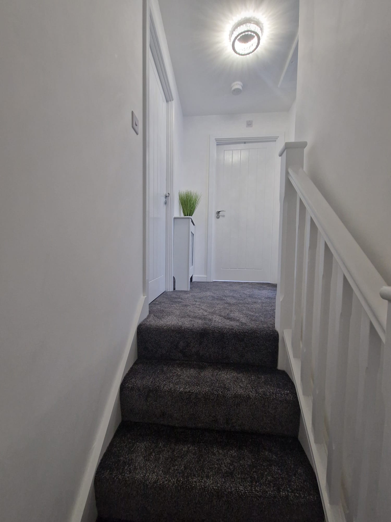 gallery_image